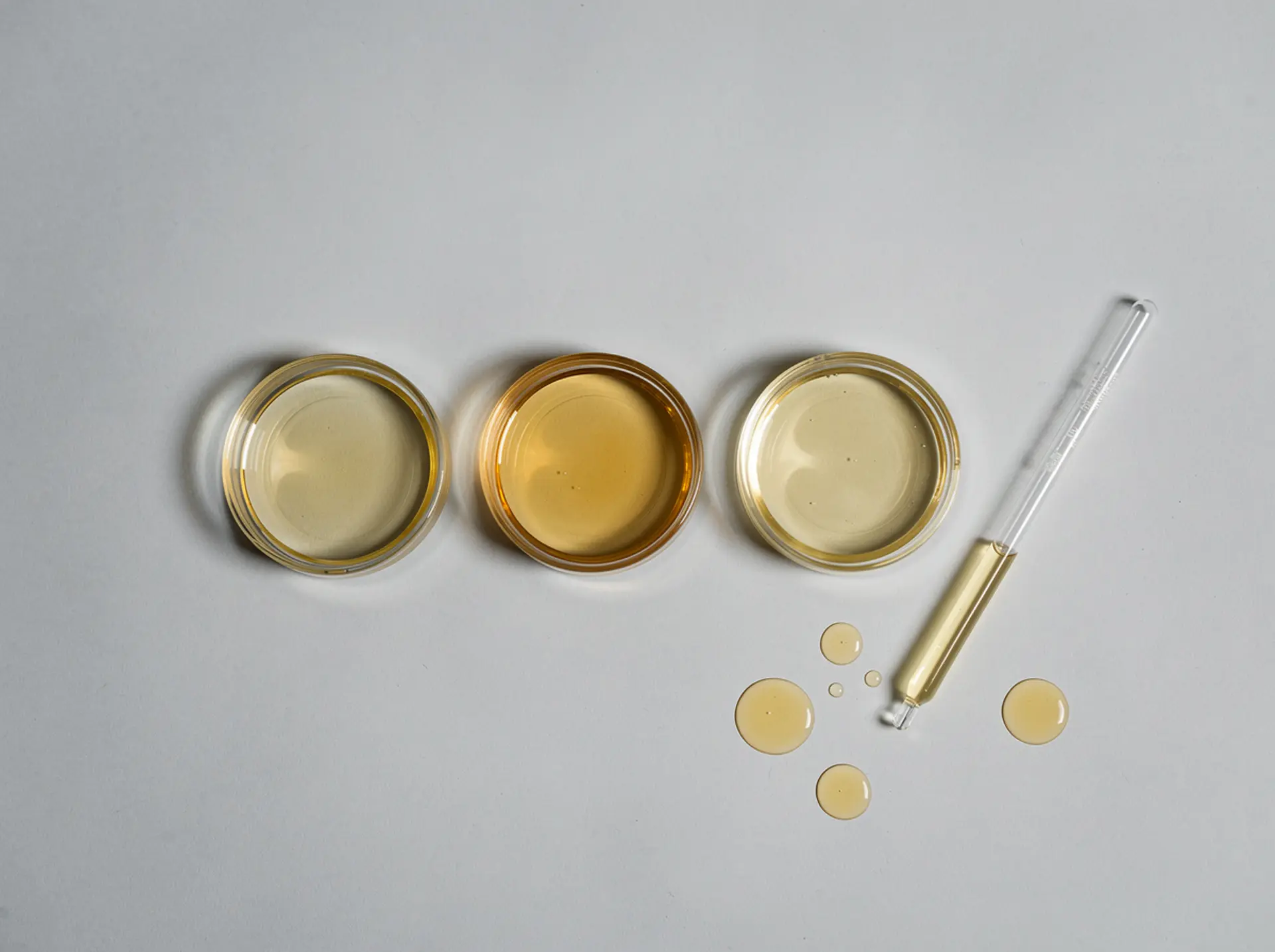 Clear omega-3 oils in three glass petri dishes with a glass pipette