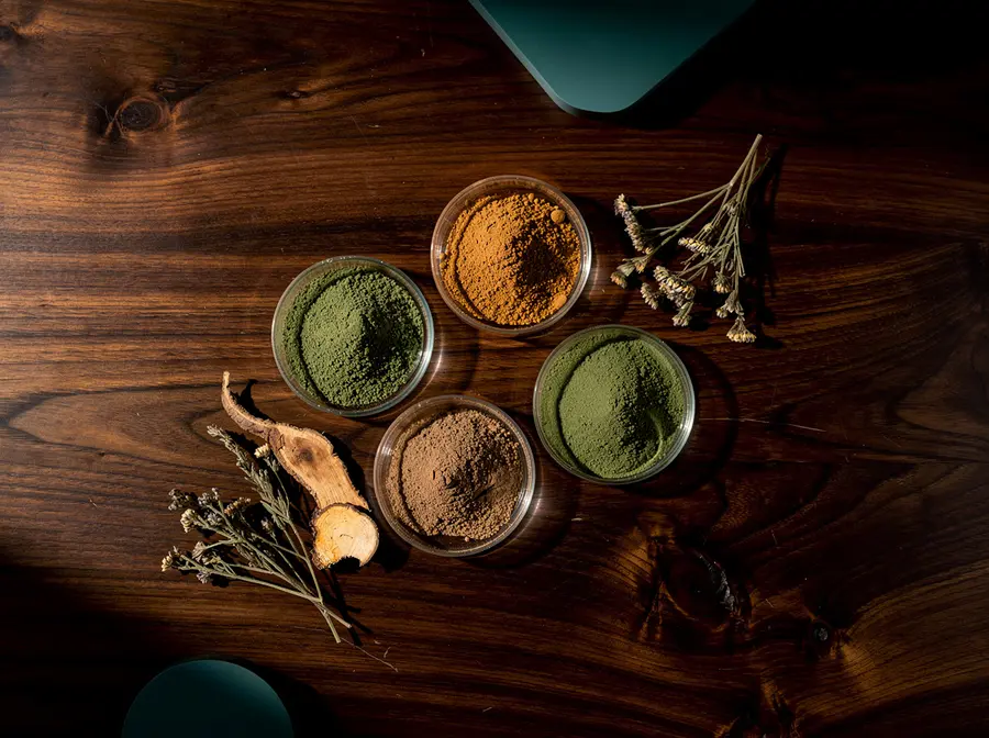 Botanical extract powders with dried herbs